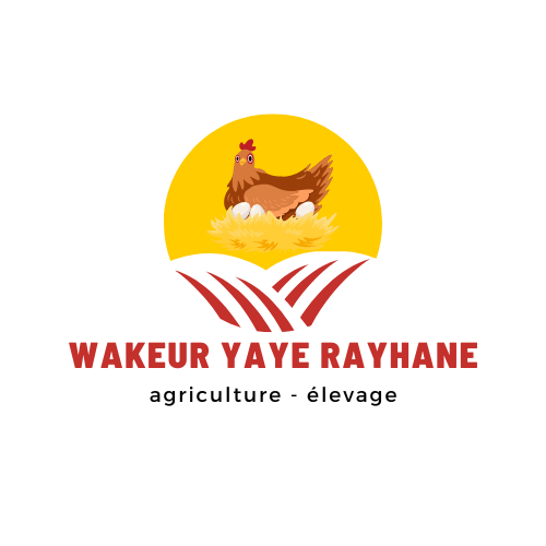 Logo keur yaye rayhane